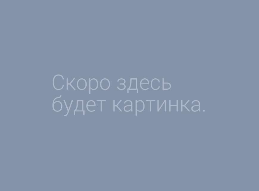 Кушать подано: по пути из Санкт-Петербурга в Великий Новгород можно отобедать сэндвичем и закусить шоколадкой